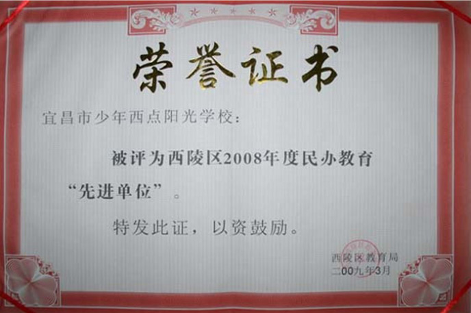 2008年度年荣誉证书
